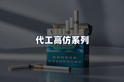 代工高仿系列
